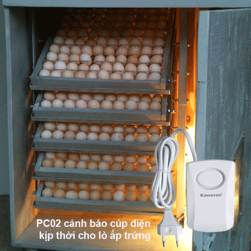 Được sử dụng nhiều trong lò ấp trứng giảm thiểu thiệt hại khi cúp điện khẩn cấp