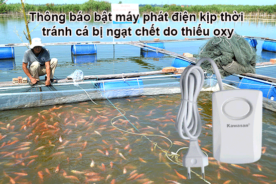 Thông báo bật máy phát điện kịp thời để tránh cá chết ngạt